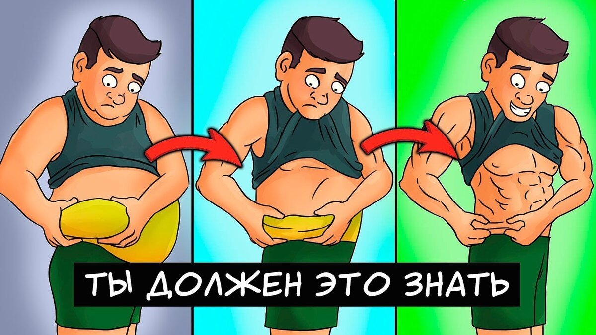 (Изображение было взята с канала your fit)