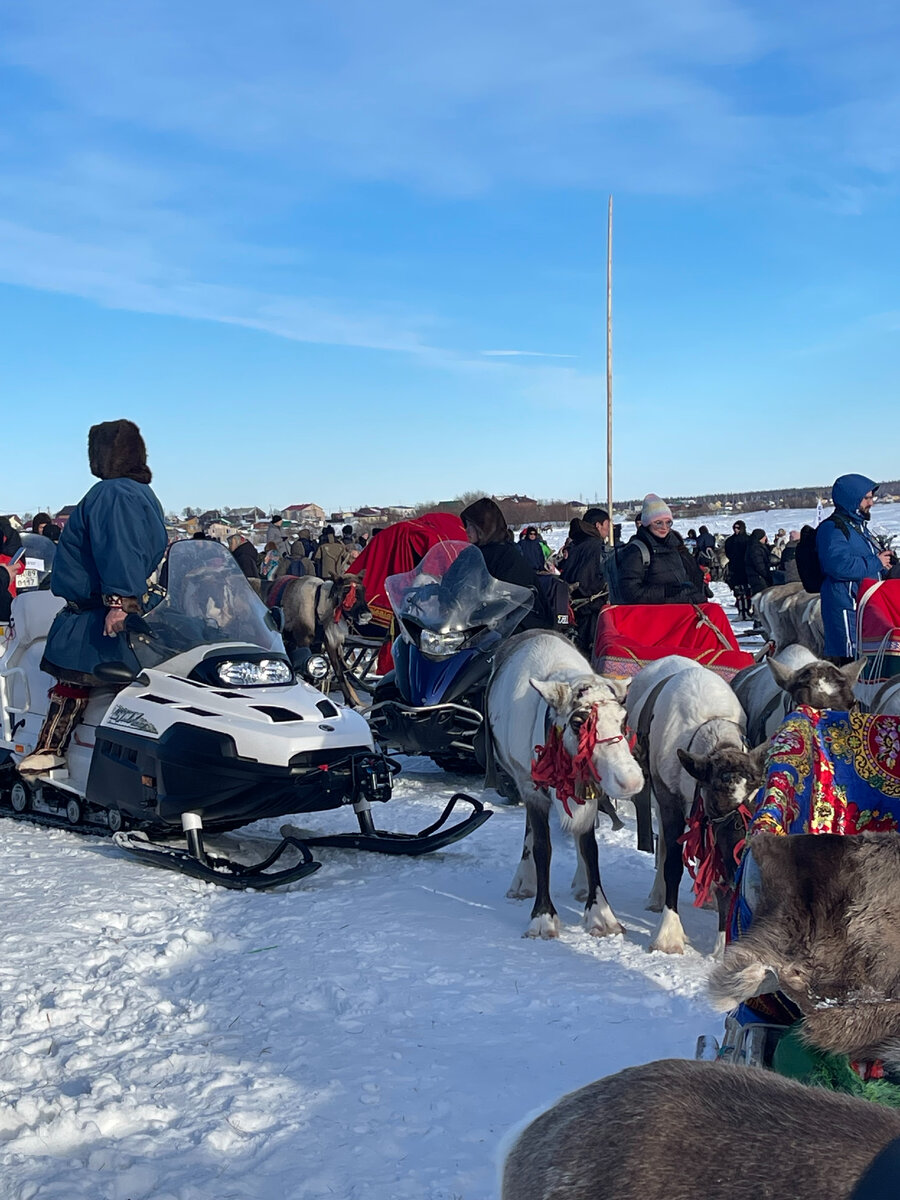 день оленевода в салехарде