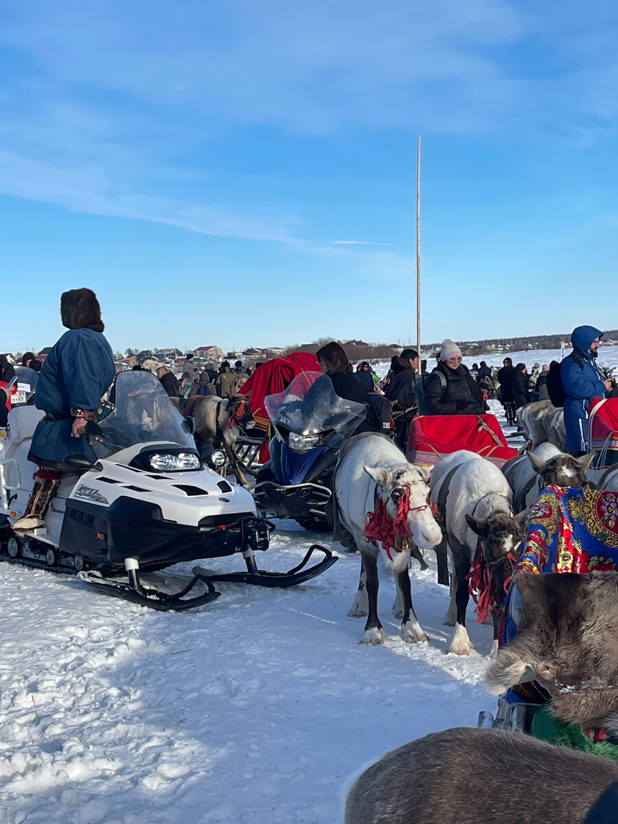 день оленевода в салехарде