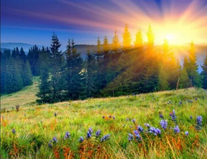 Погожий денёк. Картинка из интернета. 