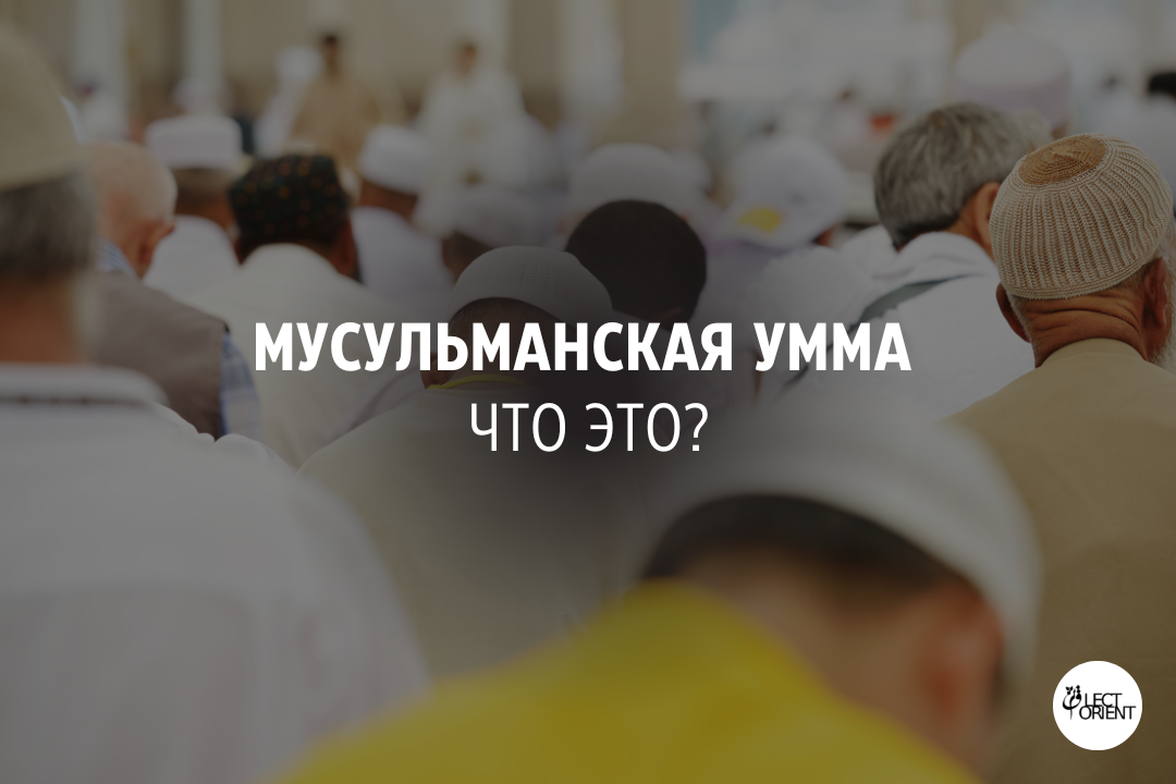 Фото взято из открытого фотостока Canva