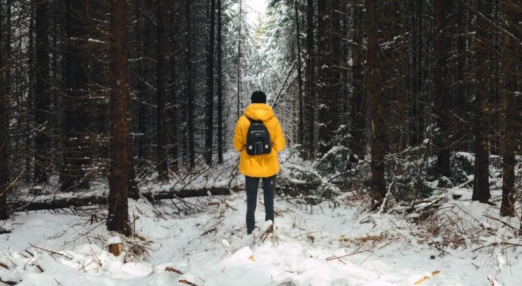 Фото из архива Sm-News, предоставлено Департаментом лесного хозяйства ТО📷
