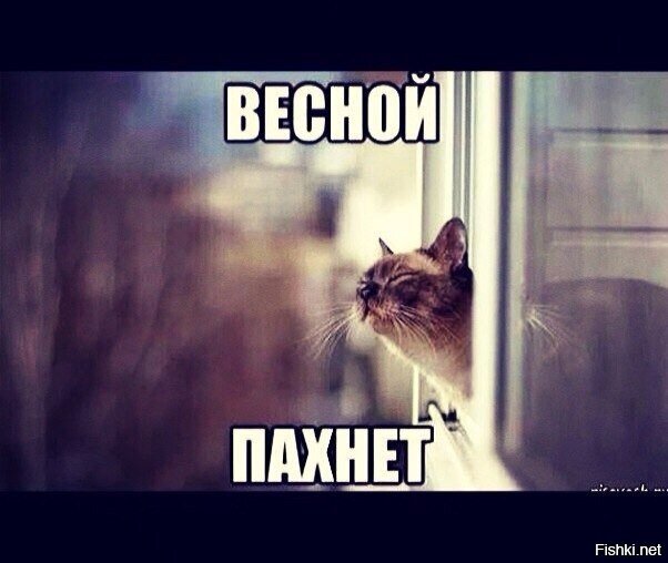 Картинки запахло весной приколы