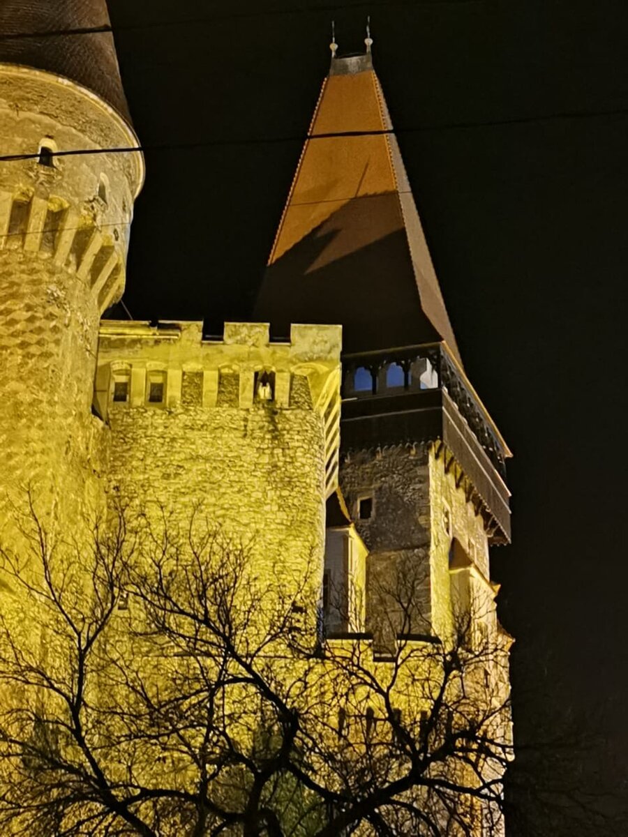 Замок Корвинов в ночной подсветке. 