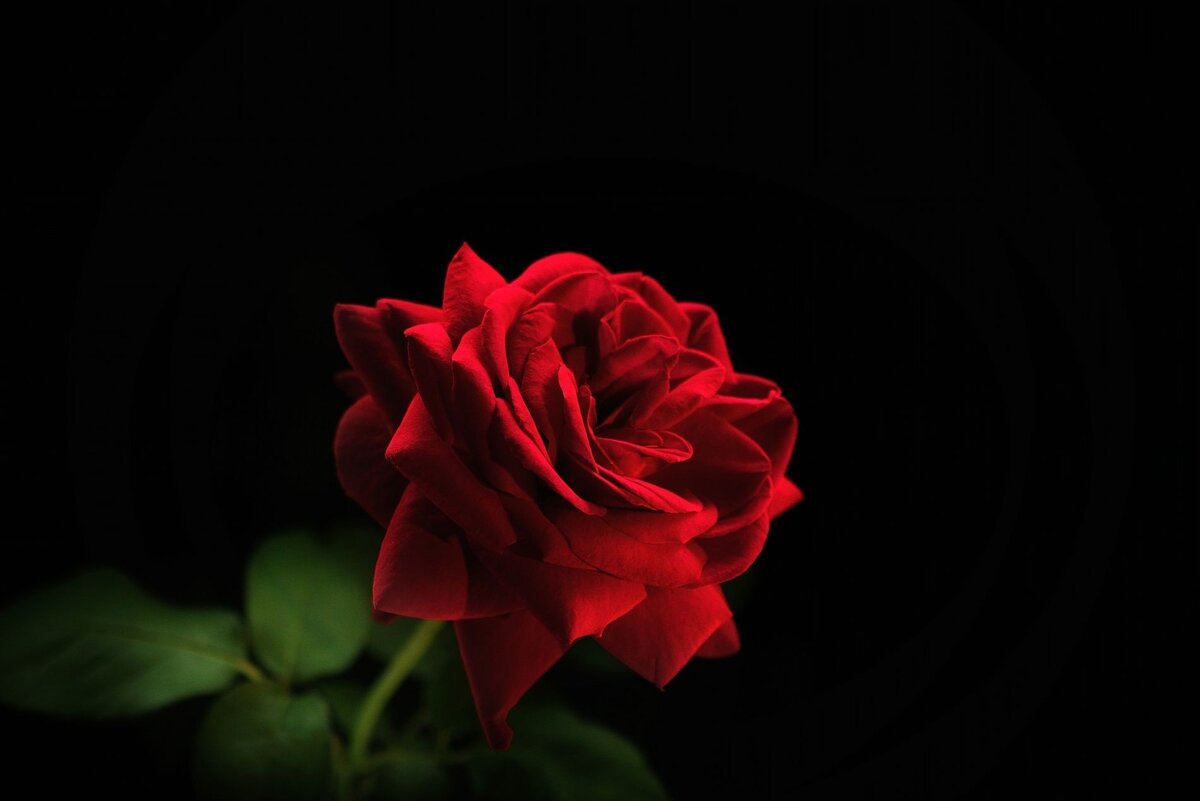 приворот на месячные