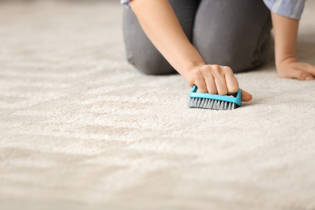 Как убрать запах мочи с ковров, матрасов и мебели (без агрессивных  химикатов) | Будь лучше каждый день! 💡 | Дзен