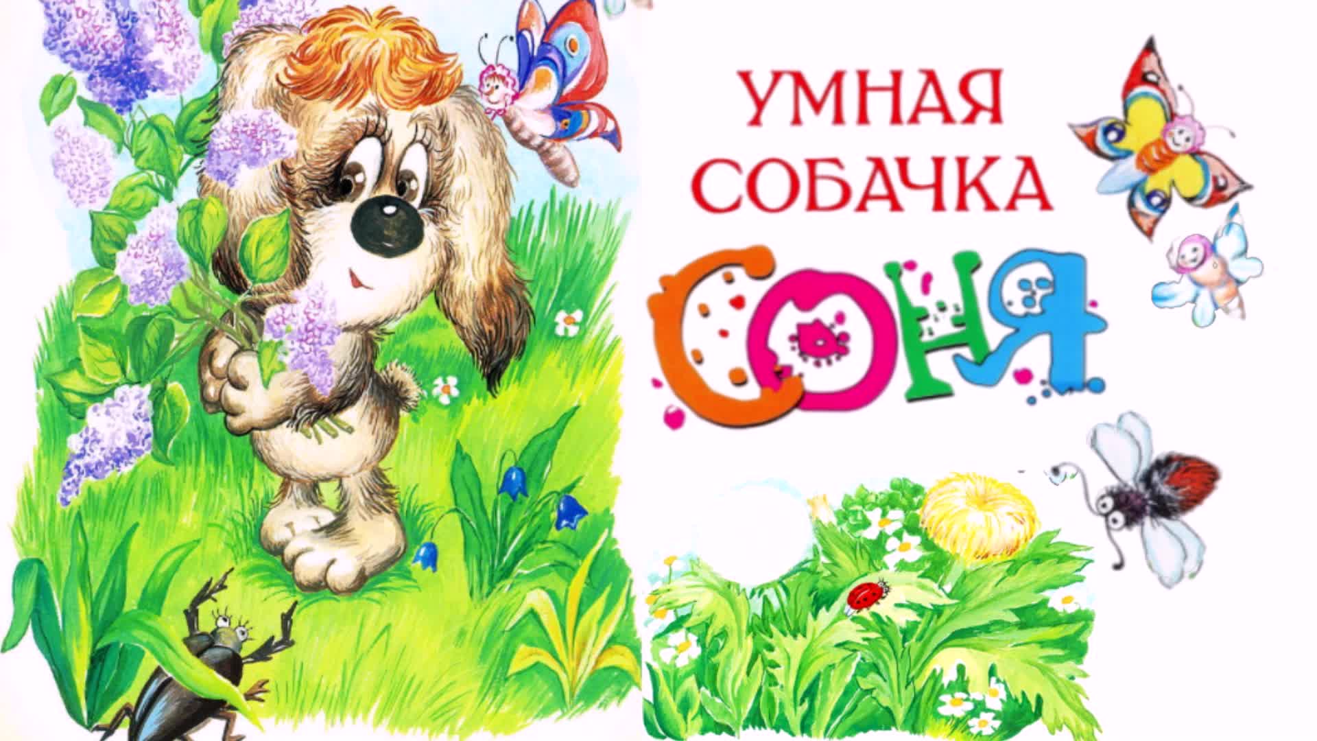 Сказка про собачку соню. Футболка с умной собачкой соней. Аудиосказку про умную. Аудиосказку про умную. Аудиосказку про умную.