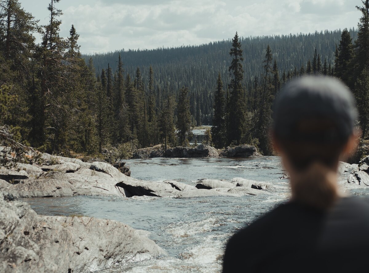 Фото с бесплатного фотоистока https://unsplash.com, автор Malik Skydsgaard