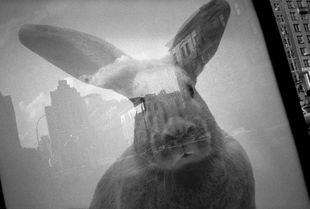     Фото: Jean Gaumy