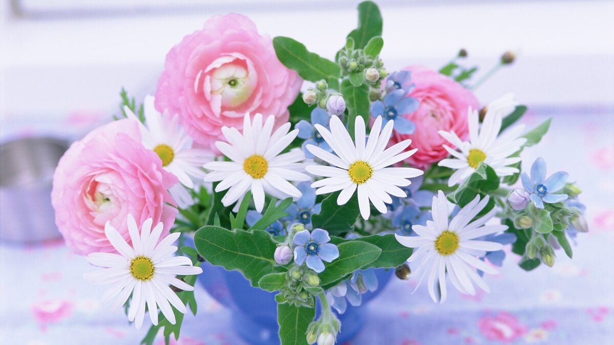 Фото из интернета