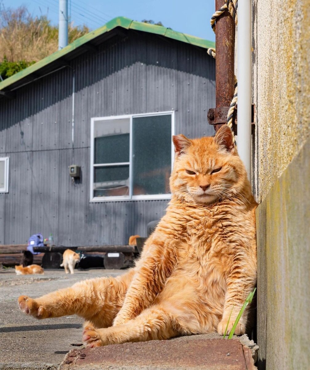 Источник: Яндекс картинки