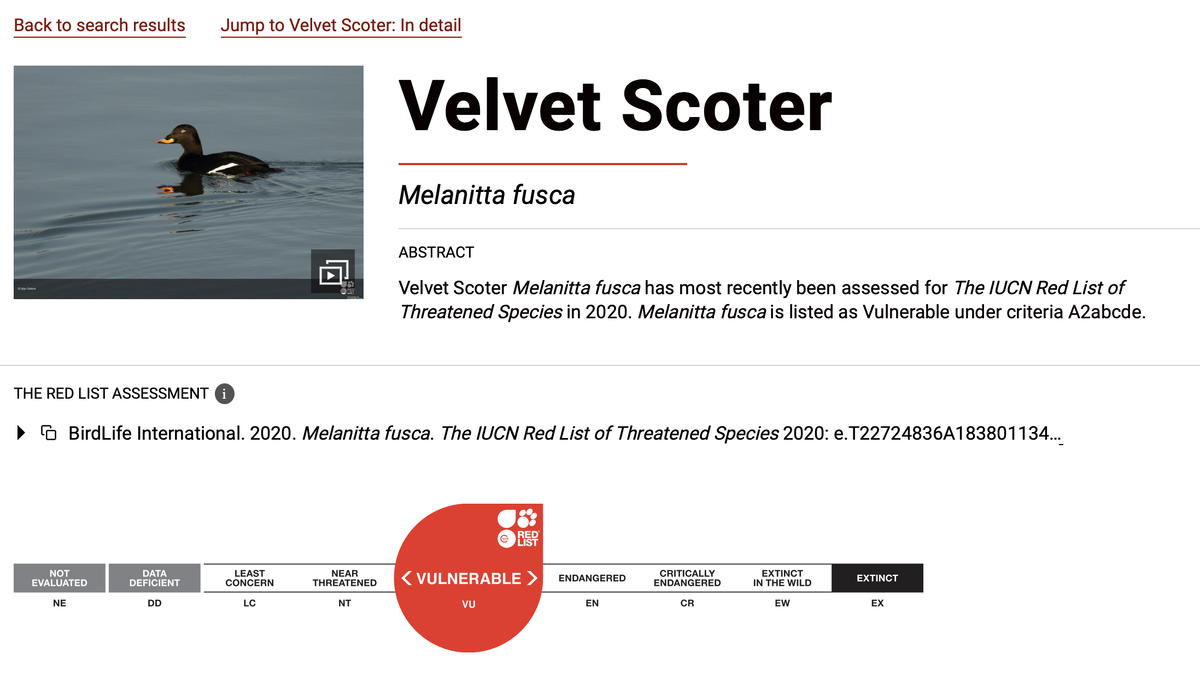 Официальный сайт КК МСОП www.iucnredlist.org