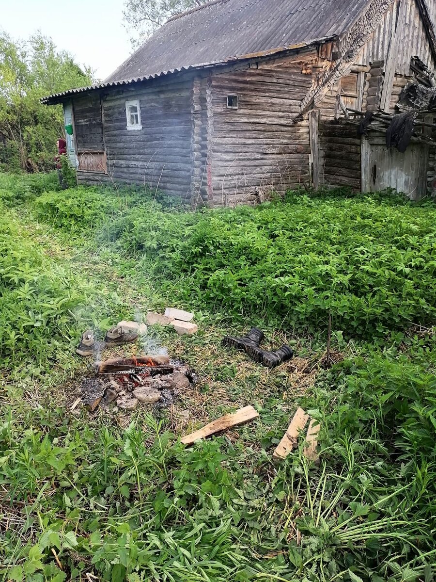 Очередная заброшенная деревня. Дома под крышами | Походный чайник | Дзен