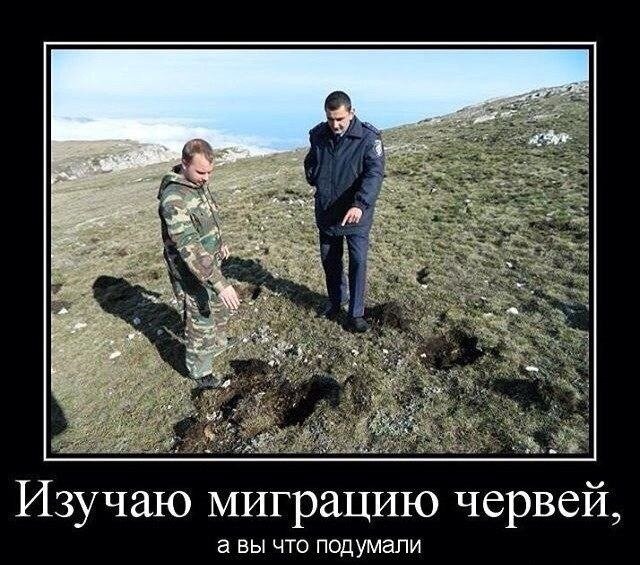 Из сети.