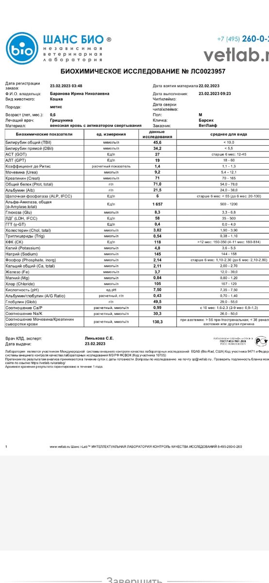 Анализ крови