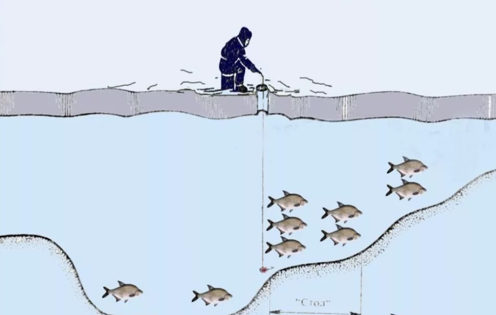 Где ловить леща зимой. Оснастка на леща зимой на водохранилище. Ловля леща зимой со льда. Ловля леща зимой на реке. Снасть на подлещика зимой