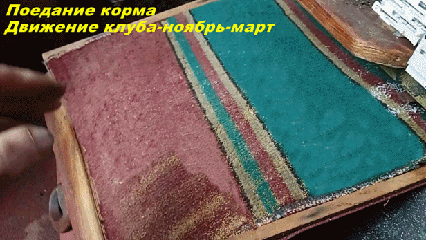 Приспособился контролировать состояние и движение клуба по выдвижному поддону 