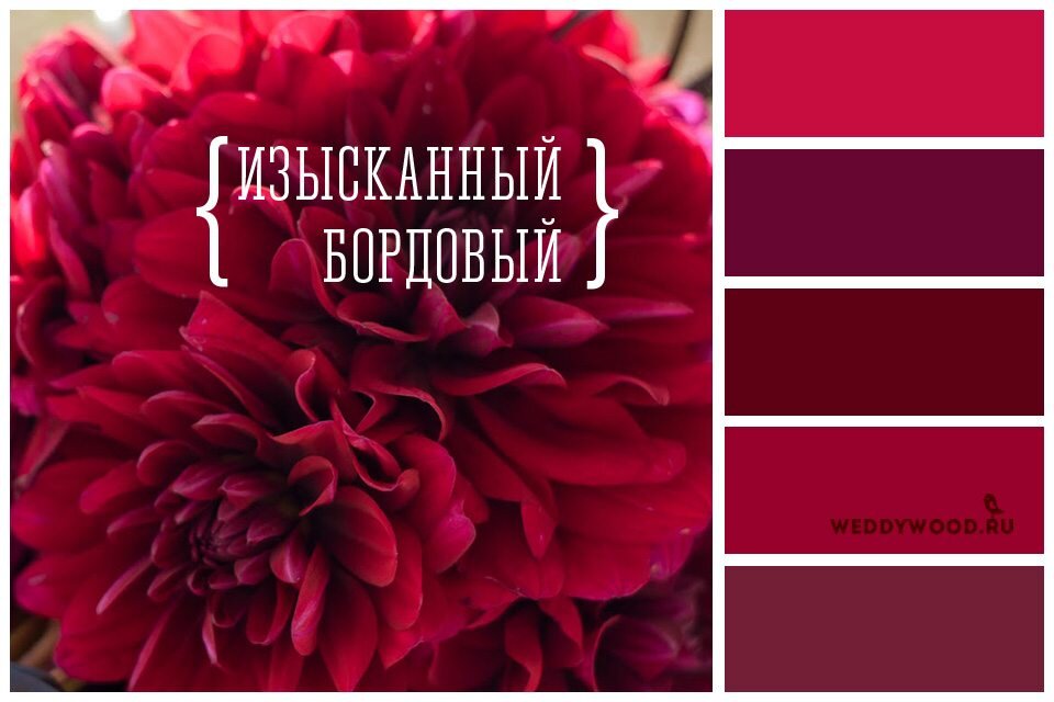 Загадочный привлекательный бордовый цвет: его значение и символика