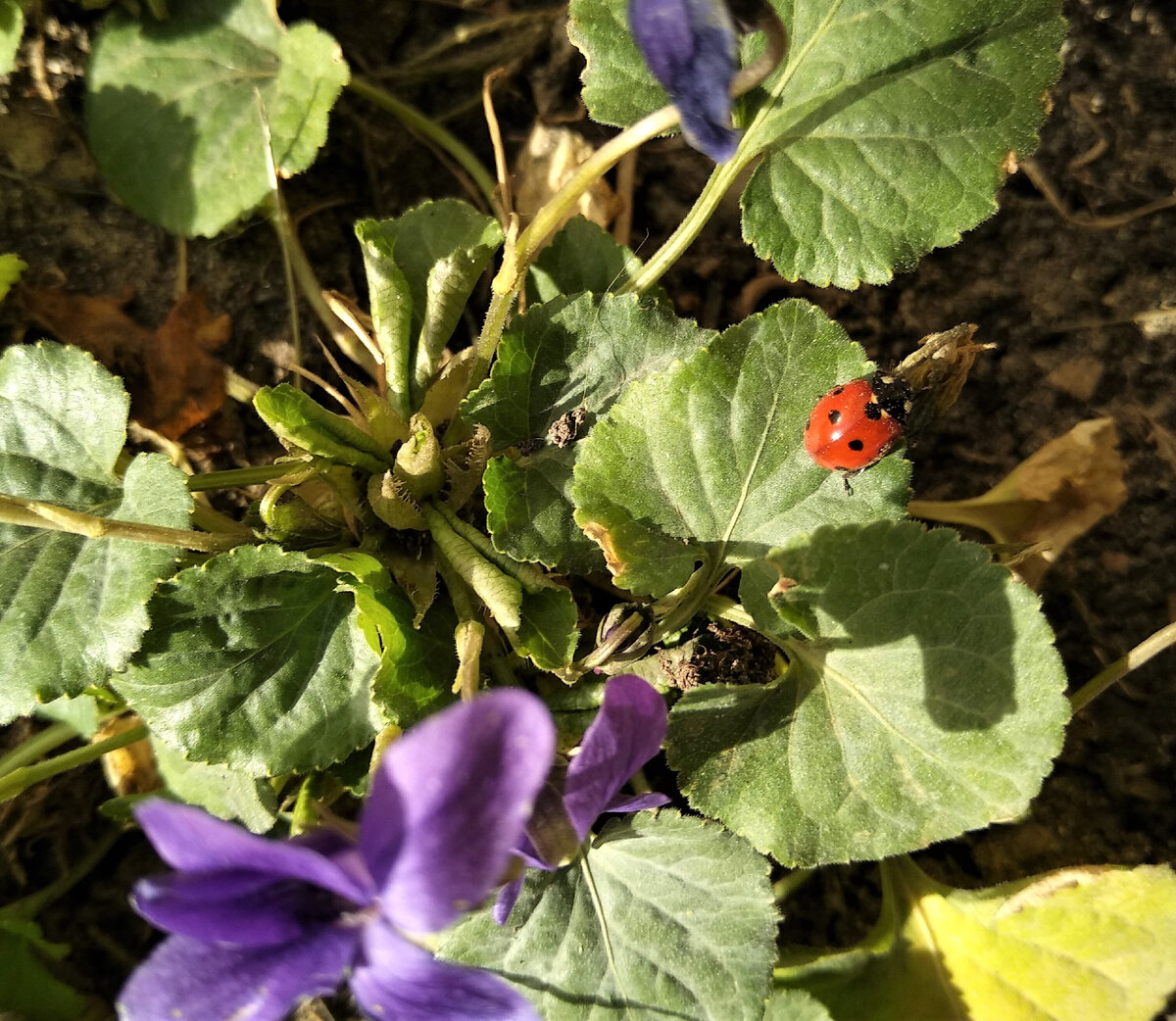 Вчера 28 февраля грелись на солнце