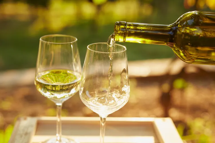 Белое простое вино для природы. Фото из https://www.cozymeal.com/magazine/what-is-a-dry-white-wine