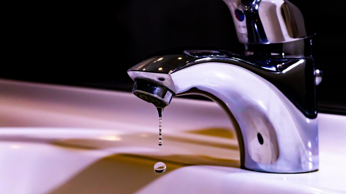 Фото: Jos Speetjens/Unsplash