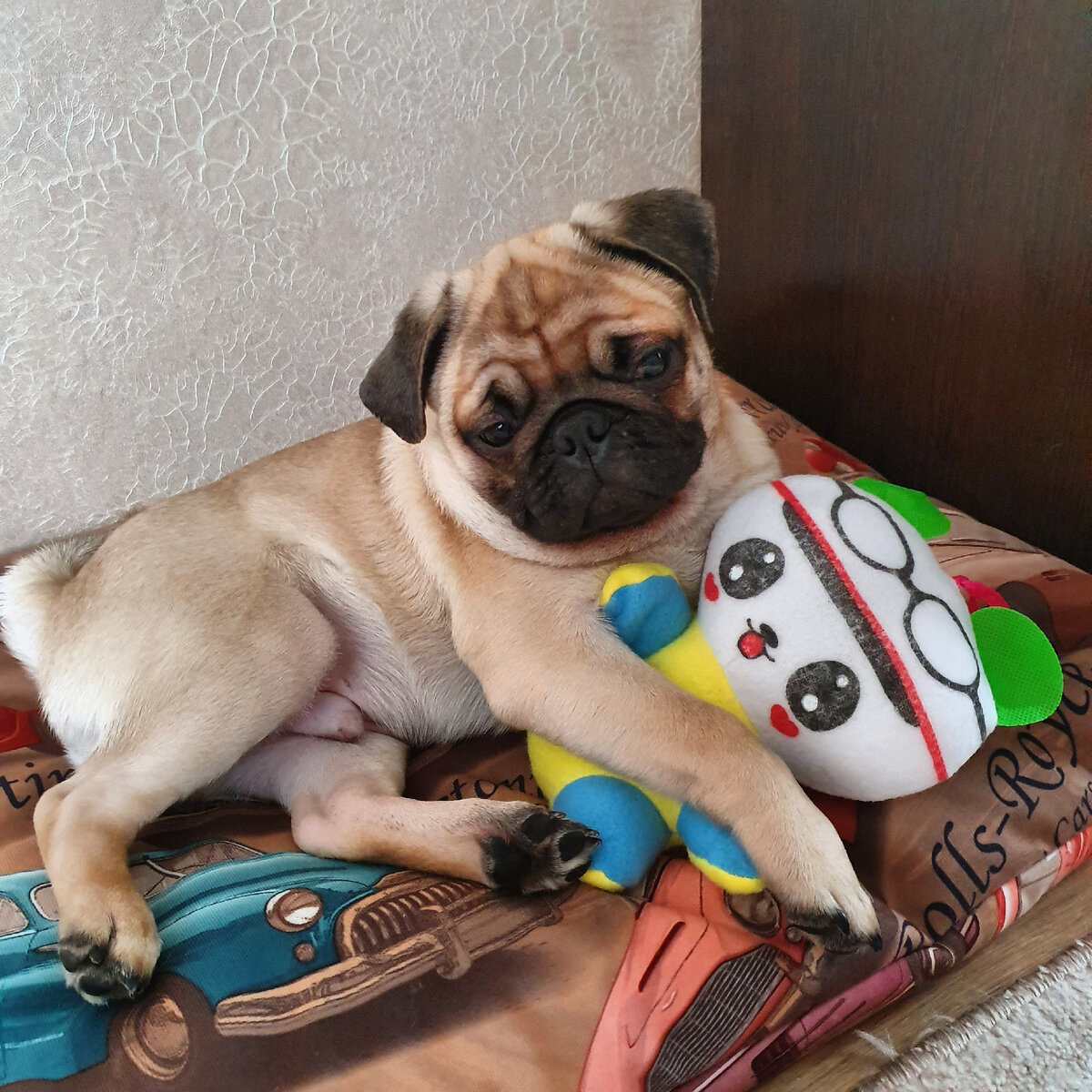 Плюшевый 🤗