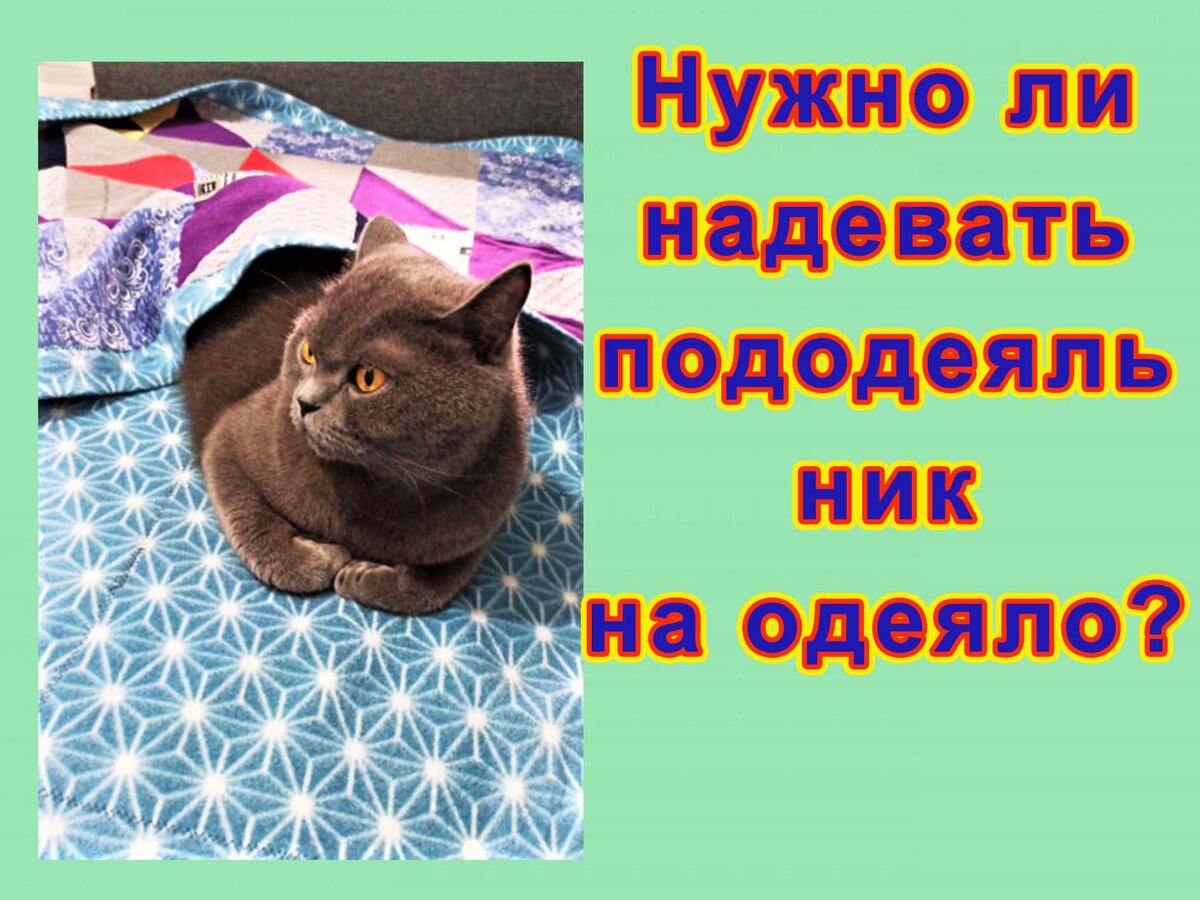 Фотография сделана мной.