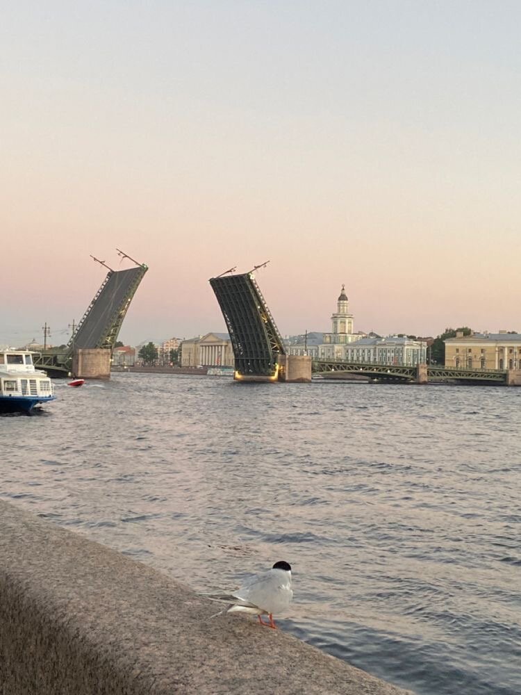 Атмосфера Питера - горячий шоколад 🍫 
