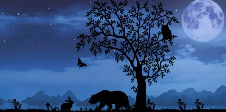 Изображение взято с открытых источников 