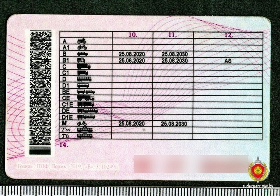     То, что права ненастоящие, видно невооруженным взглядом. Фото: sudexpert.gov.by