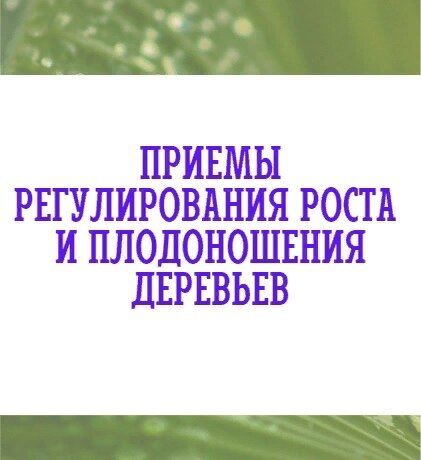 КОЛЬЦЕВАНИЕ С целью перевода ветви на плодоношение у ее основания снимают кору в виде кольца шириной 4-8 мм или накладывают проволочный пояс.