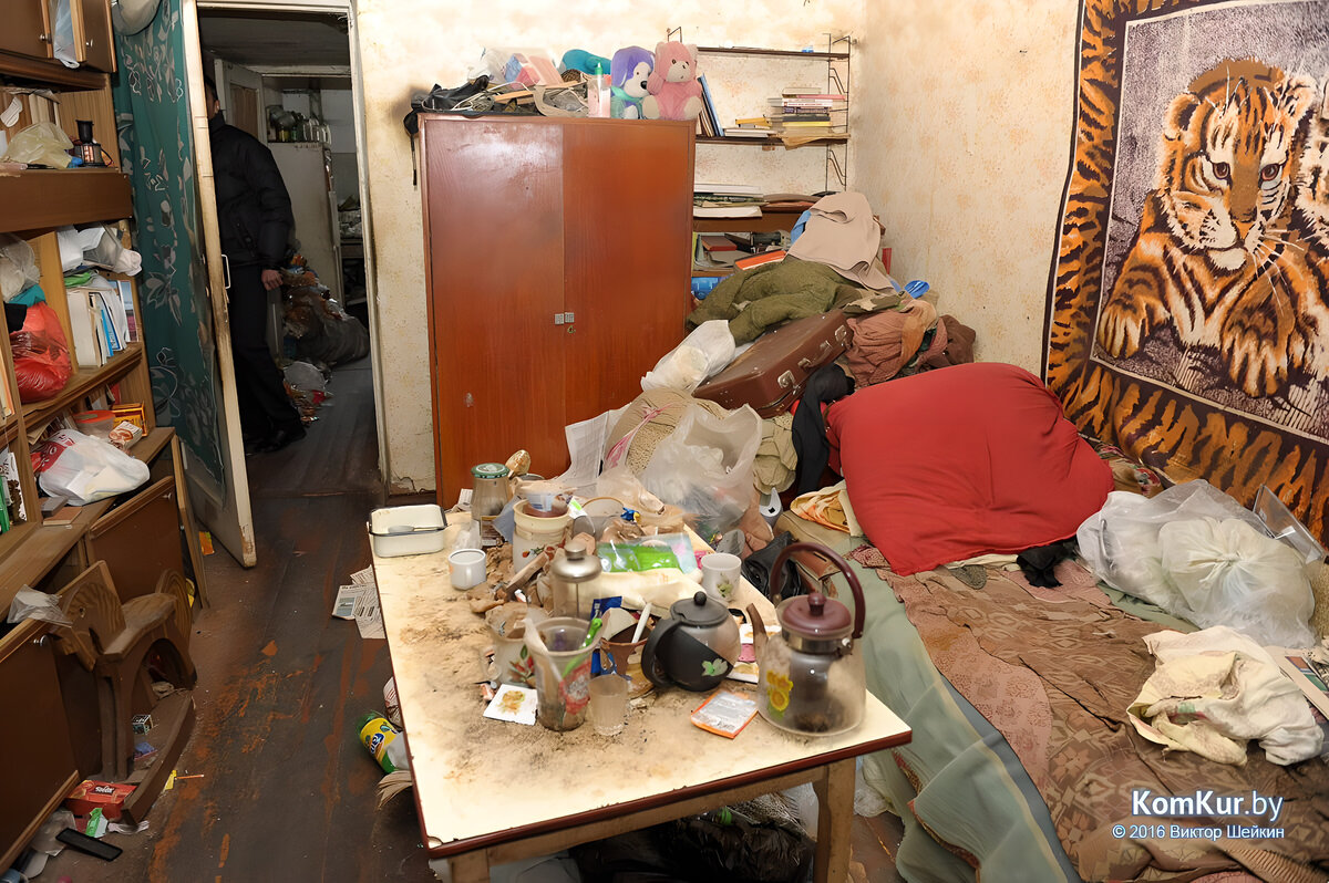 грязный двор. свалка в квартире. грязный дом. разрушенный деревянный дом. беспорядок в квартире.