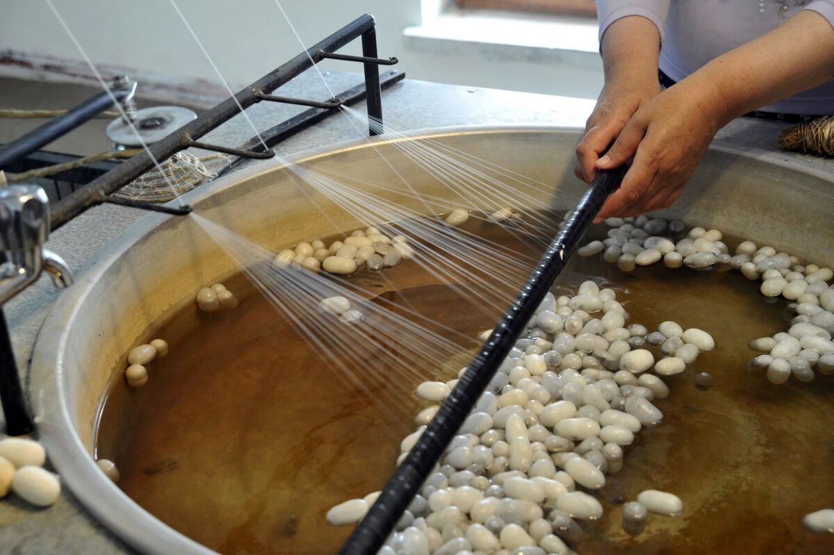 коконы шелкопряда сначала погружают в кипяток, чтобы избавить их от клея. Затем замачивают, слегка "расчёсывают, чтобы найти конец, и прикрепляют нить к движущейся каретке.