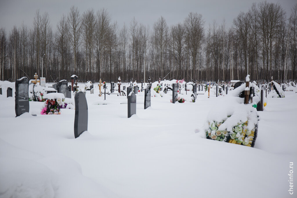    Заказать уборку снега, покос травы, чистку памятника, подкраску ограждений, восстановление оградки и другие мелкие работы можно на сайте "Мемориал35".