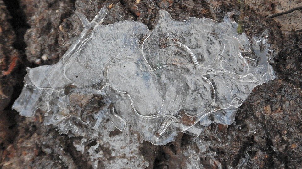 Фото из интернета.