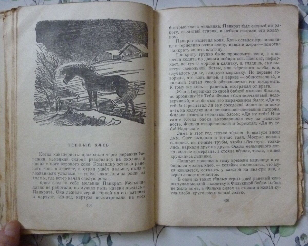 📖 Читаем с детьми: о рассказе К. Паустовского 