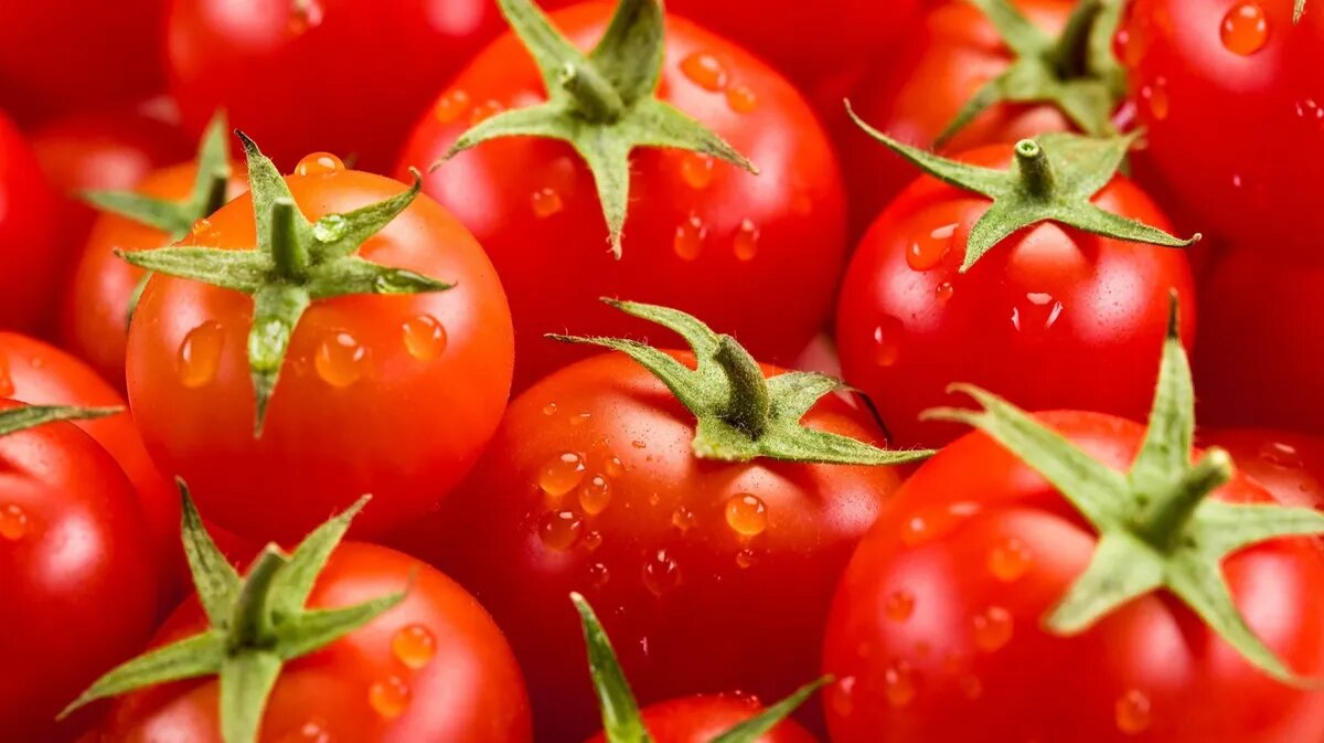 Томаты являются самой популярной культурой для высадки. Фото: pxhere.com