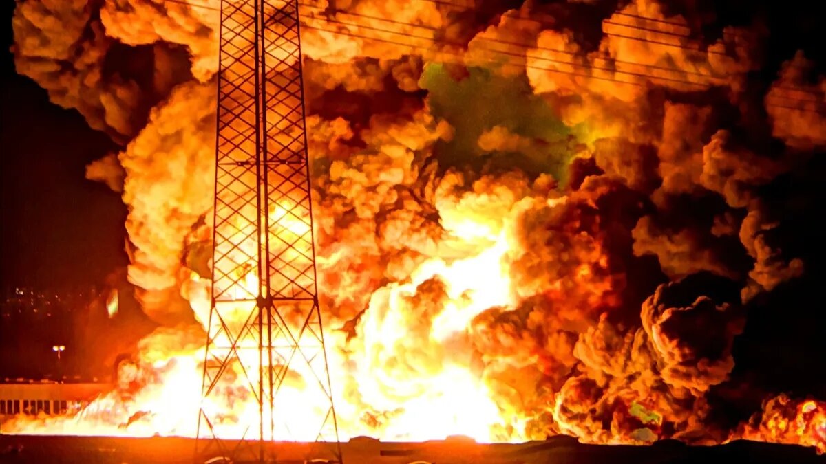 Фото: pexels.com