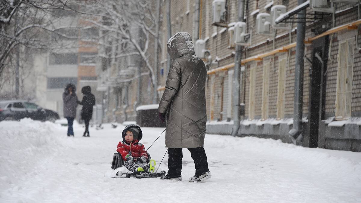    Фото: Пелагия Замятина / Вечерняя Москва