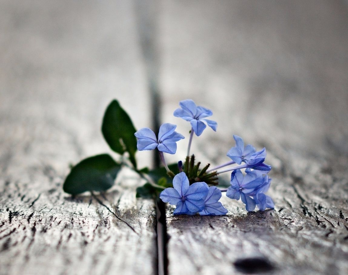 фото с просторов интернета 