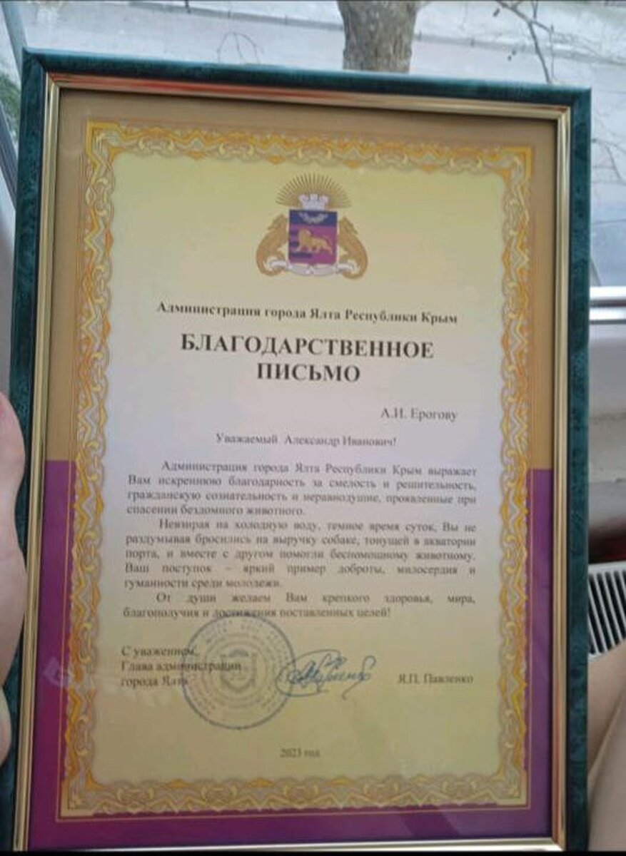     15-летний Александр стесняется неожиданно свалившейся на него славе. Фото: предоставлено мамой Александра Ерогова