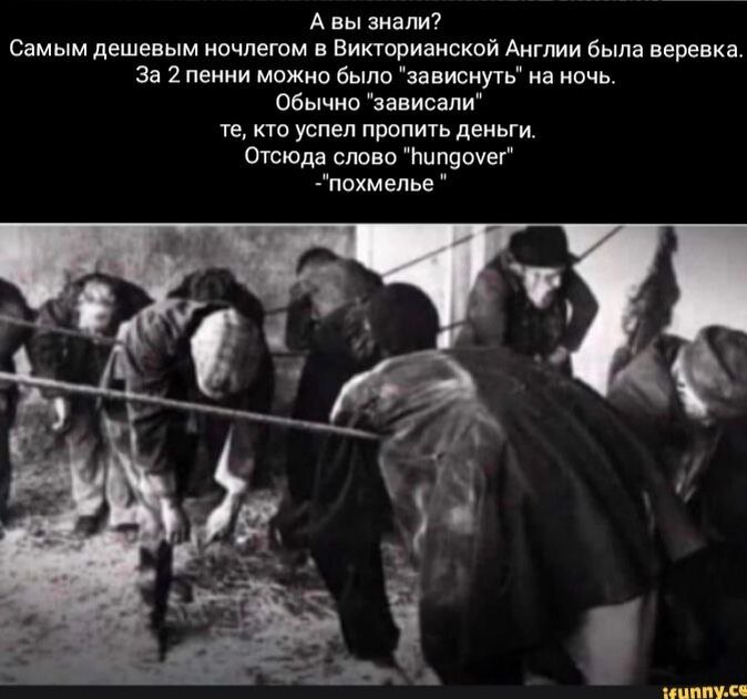 Мем, популяризовавший версию о происхождении слова hangover