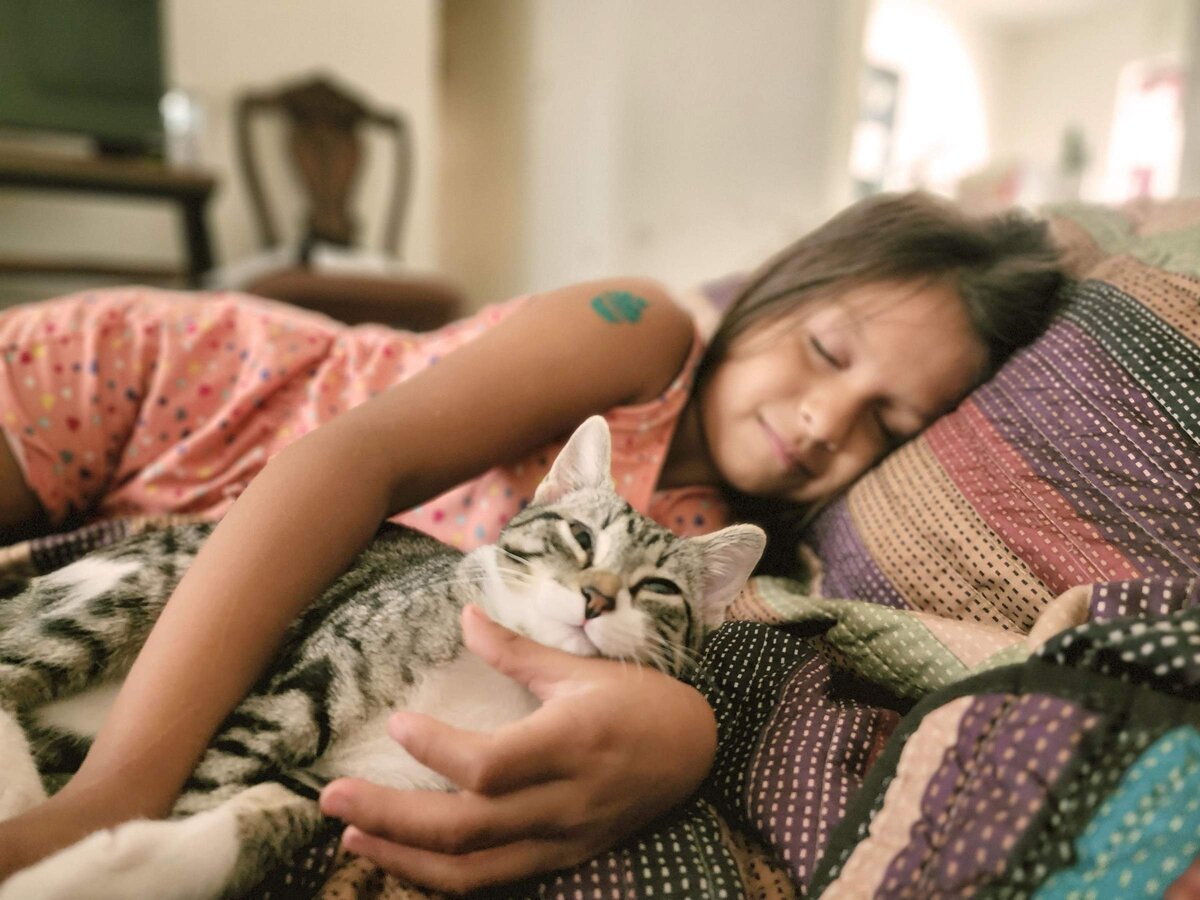 Крепкий сон