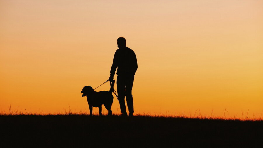 Яндекс-картинки