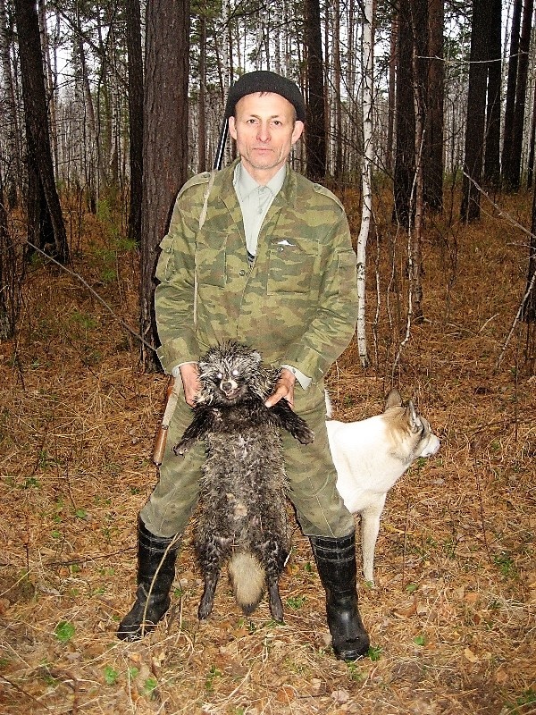 Хитрый зверёк