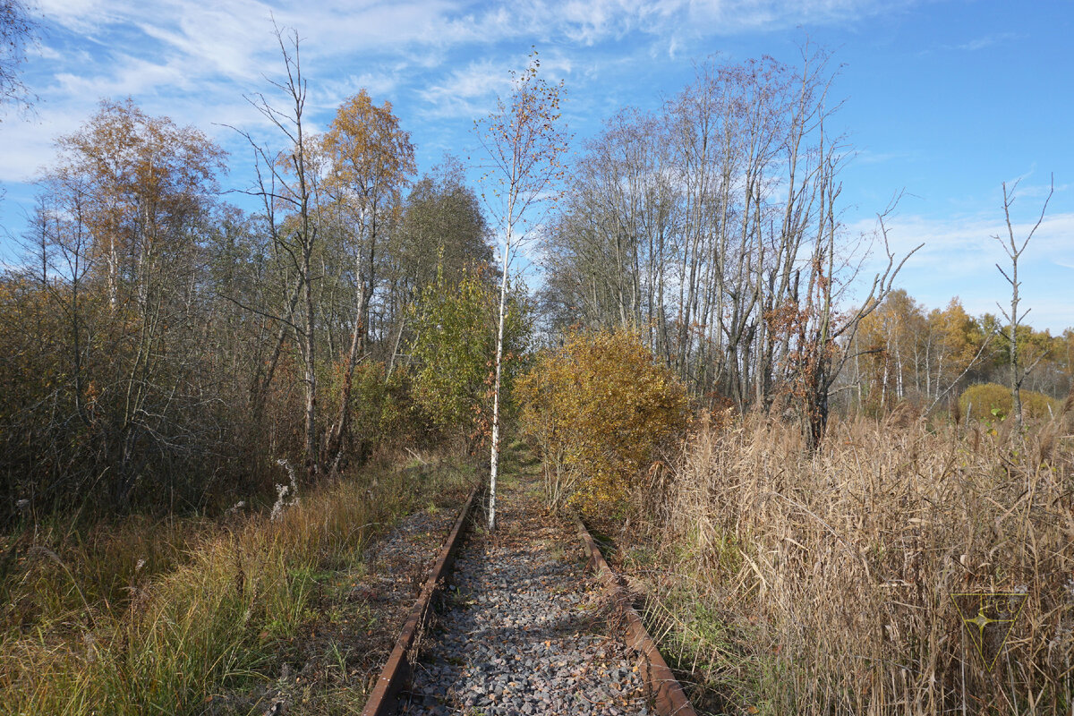 Мёртвая, но живописная ветка железной дороги в Подмосковье
