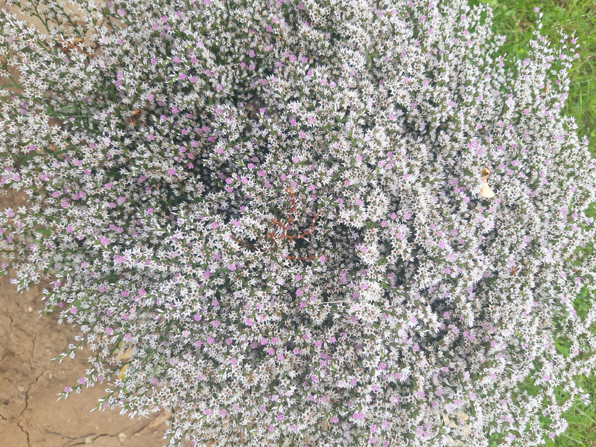 * Личный опыт автора/не призыв/не реклама