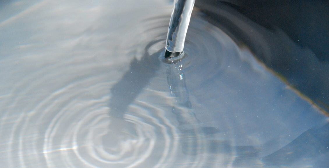    Фото: pixabay.com