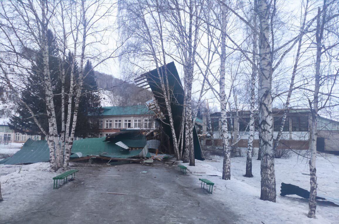 Фото: пресс-служба правительства Алтайского края