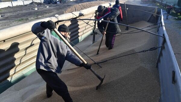    © РИА Новости . РИА Новости